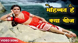 Mohabbat Hai Kya Cheez 4k Full Song  Prem Rog  Suresh Wadkar Lata Mangeshkar Song  Rishi Kapoor [upl. by Ahcire572]