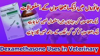 Dexamethasone injection in Veterinary Medicine  Dexamethasone uses  Dexamethasone side effects [upl. by Dewar]