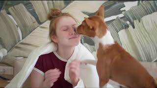 Basenji Things to Know about Before Getting A Basenji Puppy [upl. by Einnod]