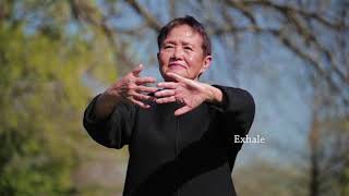 Qigong Full 20Minute Daily Routine [upl. by Hepsoj]