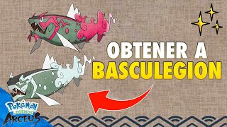 ✅ GUIA Como EVOLUCIONAR a BASCULIN en BASCULEGION en Pokemon Legends Arceus [upl. by Itra]