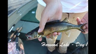 Horwood Lake Trip Teaser  Walleye on Spinnerbaits [upl. by April119]