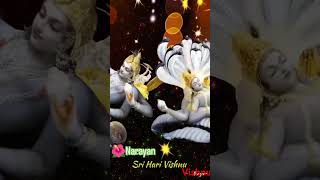 Vishnu Aarti by Anuradha Paudwal जय जगदीश हरे विष्णु आरती shorts status aarti [upl. by Ardnuaet]