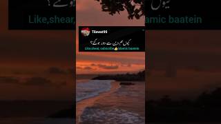 💕Heart Touching Quran Status  Quran Urdu translation WhatsApp status tiktok quran love [upl. by Annocahs]