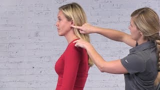 Static Postural Assessments [upl. by Akenot]