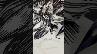 Botanical Ink Sketch Process [upl. by Luapleahcim]