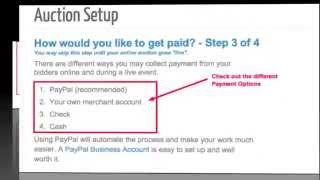 How to set up your online auction on BiddingOwlcom [upl. by Ahsinrats606]