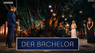 Bachelor 2019 Gewinnerin Hat RTL die Siegerin verraten [upl. by Gettings633]