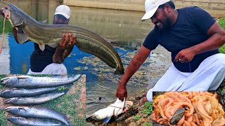 Fishing  Smell Fishing  Big Wallago Attu catfish catching  चिकन के ऐतडी से मछली पकडा  Fish [upl. by Manno]