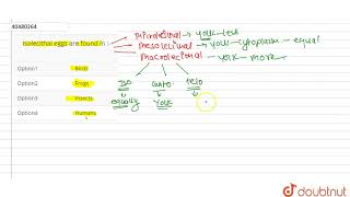 Isolecithal eggs are found in [upl. by Zippora]