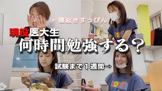 【試験勉強vlog】試験直前の医学生がどのくらい勉強するのか測ってみた！ [upl. by Niobe157]