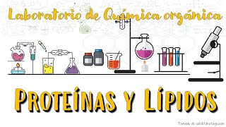 Laboratorio de Química Orgánica Proteínas y Lípidos [upl. by Amehr]