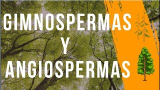 Las plantas GIMNOSPERMAS y ANGIOSPERMAS explicación COMPLETA [upl. by Manley]