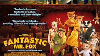 Fantastic Mr Fox Soundtrack  11 WhackBat Majorette [upl. by Esinned3]