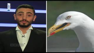 BBCHI Episode 14 عباس نزل على الأرض ماهي ردة فعل الشارع اللبناني على المحاصصة النفطية؟ [upl. by Eanram]