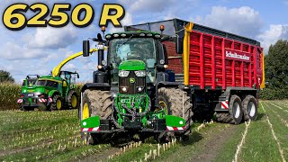 Let’s Drive John Deere 6250 R amp 9800i😱  Mais ballern💪  Bauer Struck in 4K UHD [upl. by Julianna]