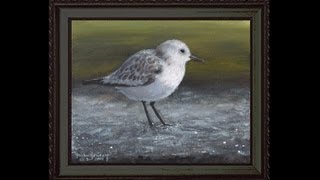 Sanderling Sandpiper Part 1  Learn How To Paint Animals In Acrylic [upl. by Wally]