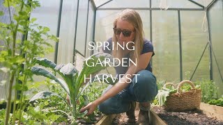 Spring Garden Harvest [upl. by Emmalynn585]