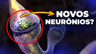 COMO CRIAR NOVOS NEURÔNIOS🤔 [upl. by Westland]