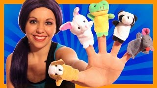 Finger Family  Animal Finger Family  Nursery Rhymes for Children with Lyrics  Tea Time with Tayla [upl. by Llevram]