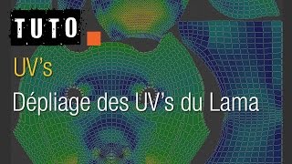 Blenderlounge  Tuto  Lama Dépliage des UVs [upl. by Suilenrac]