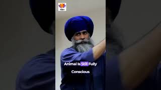 Jhatka vs Halal  Gurudev Nidar Singh Nihang  Sangam Talks [upl. by Edita]