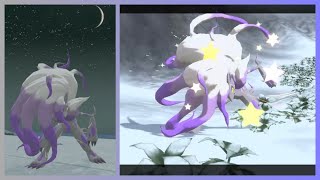 LIVE Shiny Hisuian Zoroark in Pokémon Legends Arceus [upl. by Orenid901]