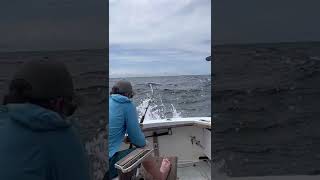 Sailfish fishing Watamu Kenya [upl. by Nelo97]