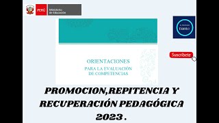 PROMOCION REPITENCIA Y RECUPERACIÓN PEDAGÓGICA 2023 [upl. by Enomys411]