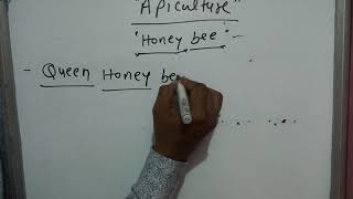 Apiculture part1queen honey beeworkerdronesovipositorsting fertilized egg parthenogenesisegg [upl. by Enylecoj]