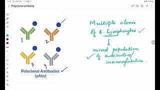 Polyclonal antibody [upl. by Arret]