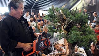 Kunio Kobayashi Bonsai demonstration [upl. by Darrej]