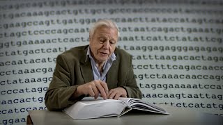 The Book of Life DNA  Attenborough 60 Years in the wild  BBC Earth [upl. by Gorton940]