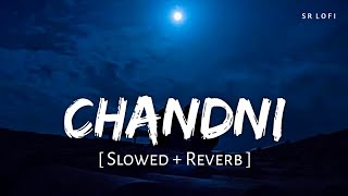 Chandni Slowed  Reverb  Sachet Tandon Parampara Tandon  SR Lofi [upl. by Trillbee]