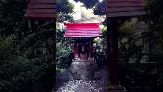 A hidden Shrine tokyo travel japanjourney japan japantravel kanagawa kanagawaken shrines [upl. by Nichola]