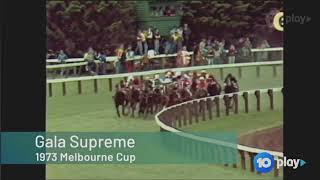 1973 VRC FLEMINGTON Melbourne Cup [upl. by Hsak912]