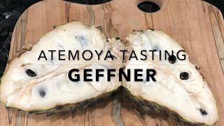 Atemoya Review  Weird Fruit Explorer Ep 54 [upl. by Rush981]