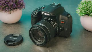 Best Beginner Cameras in 2024 [upl. by Linn]