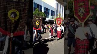 Tartan Day Townsville 2024 [upl. by Enialed]