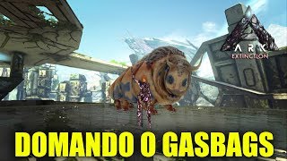 Como Domar e Habilidades Do Gasbags  Ark Extinction PT BR [upl. by Gretchen809]