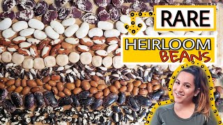 Rare Heirloom Seed Collection amp Haul [upl. by Latif]