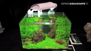 The Art of the Planted Aquarium 2015  Dennerle Scapers Tank Nano compilation pt2 [upl. by Fronia]