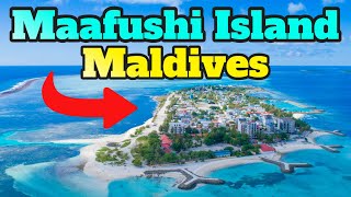 Maafushi Island Maldives  All Things That You Need To Know 🌊🌴🌅🐚🦋☀ [upl. by Madai537]