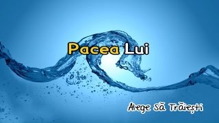 Pacea Lui  Negativ Crestin [upl. by Euginom]