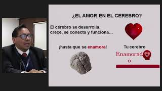 Amor ¿En el cerebro [upl. by Anirbed]