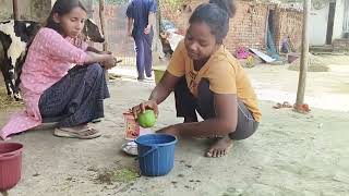 angli larki pedh 🌲 chadh gyi amrud thorne ke liye fruit treegirl group full video 😀 [upl. by Liscomb]