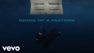 Billie Eilish  BIRDS OF A FEATHER Official Lyric Video [upl. by Ruddy]