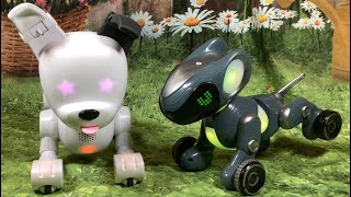 Wowwee DogE Robot Dog amp Educational Insights Pyxel Coders Best Friend Remote Control amp Comparison [upl. by Galven]