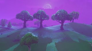 The Old Graphics  Fortnite Nostalgic Edit [upl. by Olnee]