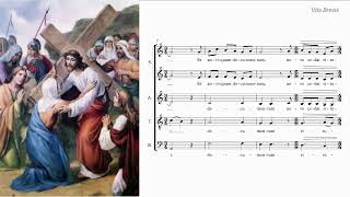 Vita Brevis Tantum Ergo Traditional Gregorian Chant [upl. by Hgalehs]